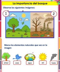Un cartel educativo en español contrasta un bosque vibrante con árboles, pájaros y sol a la izquierda y una zona contaminada y deforestada con humo y fábricas a la derecha, destacando elementos como árbol, aves, agua, sol y humo.
