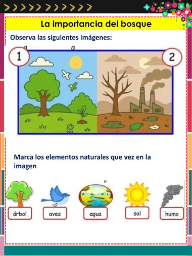 Un cartel educativo en español contrasta un bosque vibrante con árboles, pájaros y sol a la izquierda y una zona contaminada y deforestada con humo y fábricas a la derecha, destacando elementos como árbol, aves, agua, sol y humo.