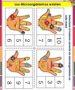 Cuatro manos ilustradas con coloridos microorganismos de dibujos animados. Cada mano está emparejada con cuatro números para contar los microorganismos. El título de la actividad es 