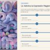Cuadernillo de Trabajo de Español 2° de Secundaria NEM 31 Hoja de ejercicios «Adivina la expresión regional», con cuatro expresiones idiomáticas mexicanas y espacios en blanco para completar su significado.