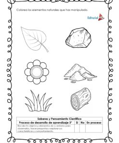 El Cuadernillo para Trabajar el Arte con Elementos Naturales ofrece una hoja de trabajo en blanco y negro con dibujos de elementos naturales (hoja, roca, flor, arena y tronco) para colorear, instrucciones en español y una tabla para evaluar el aprendizaje.