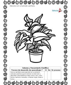 Ilustración en blanco y negro de una planta en maceta con hojas grandes, rodeada por un borde decorativo de frutas. A continuación se muestra un cuadro de actividades de aprendizaje sobre la observación de las características de las plantas mediante los sentidos.