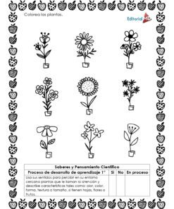 Planeación las Plantas de mi Comunidad para Preescolar: hoja en blanco y negro con nueve plantas en macetas, borde decorativo de íconos, e instrucciones en español para que los niños coloreen y observen las características de las plantas.