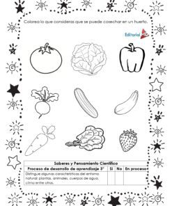 Hojas de trabajo los Huertos: hoja en blanco y negro con dibujos de verduras (tomate, lechuga, zanahoria, etc.) para que los niños coloreen lo que se puede cultivar en los huertos escolares. Incluye un borde decorativo con estrellas y patrones.
