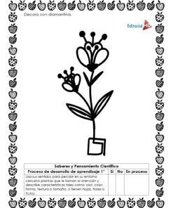 Planeación las Plantas de mi Comunidad para Preescolar