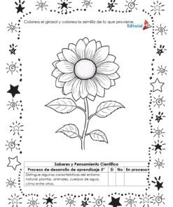 Planeación los Huertos para Preescolar 15 Cuadernillo de trabajo page 0006 21