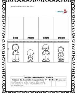 Una página del Cuadernillo de Trabajo Ciclos de la Vida muestra cuatro secciones -bebé, infante, adulto, anciano- con figuras de dibujos animados. Las instrucciones y casillas de verificación de la parte inferior ayudan a los alumnos a seguir el progreso del aprendizaje.