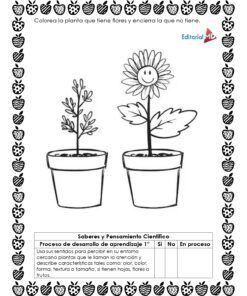 Dos plantas en maceta: una con flores y una cara sonriente, y otra sin flores. Las instrucciones en español piden colorear la planta con flores y rodear con un círculo la que no las tiene. En la parte inferior hay un cuadro con el proceso de aprendizaje.