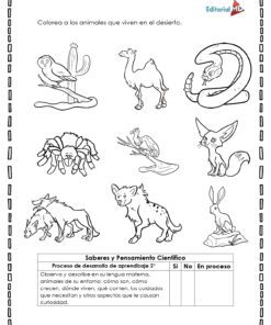 El Cuadernillo de Trabajo para Trabajar Hábitats Naturales incluye una página para colorear en blanco y negro de animales y plantas del desierto, con instrucciones para observar y colorear especies como el coyote, el zorro fénec y la suricata.
