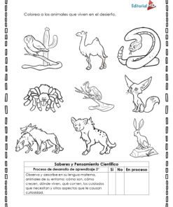 Cuadernillo de trabajo page 0009 11