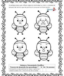 Cuadernillo de trabajo page 0010 13