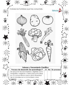 Hojas de trabajo los Huertos: Hoja de trabajo en blanco y negro con tomate, brócoli, maíz, zanahoria, cebolla y pimiento con estrellas. El texto en español pide a los alumnos que coloreen las verduras que han comido de los huertos. Ideal para actividades en el aula.