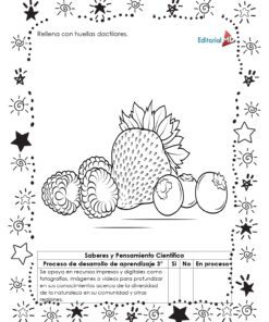 Hojas de trabajo los Huertos: hojas en blanco y negro con dibujos delineados de una fresa, frambuesas y arándanos, borde decorativo y tabla de progreso. Incluye instrucciones-ideal para lecciones sobre huertos.