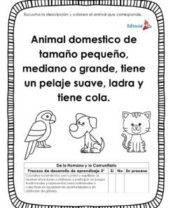 Cuadernillo de trabajo page 0012 8