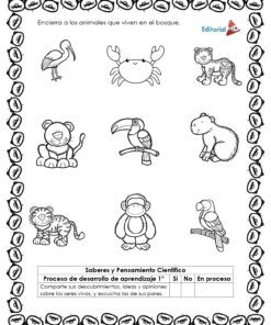 Cuadernillo de Trabajo para Conocer a los Animales 10 Hoja de trabajo en blanco y negro del