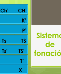 Curso elemental de la lengua maya 01