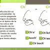 Curso elemental de la lengua maya 04