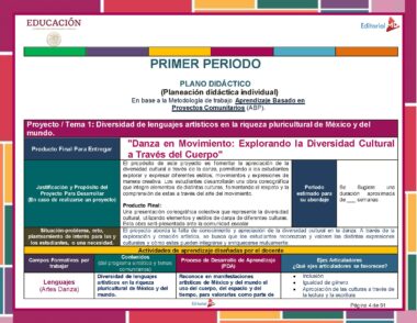 Diseño del plan educativo titulado "Programa Analítico NEM Artes DANZA 1° Grado (Ciclo Escolar 2024 – 2025)" en español, con secciones sobre temas de proyectos, métodos de aprendizaje y objetivos. Los cuadros de texto abordan la diversidad y el lenguaje artístico de la danza con encabezados coloridos y contenido estructurado para orientación académica.