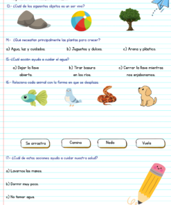 Diagnostico 2do grado 8