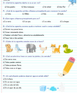 Diagnostico 3° 8 1