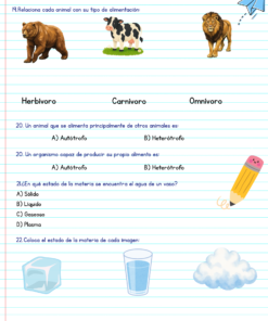 Examen diagnóstico cuarto grado 12 Diagnostico 4° grado 10