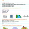 Examen cuarto grado 13 Diagnostico 4° grado 12