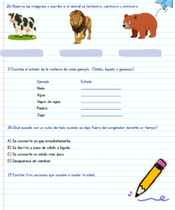 Diagnostico 5° grado 11