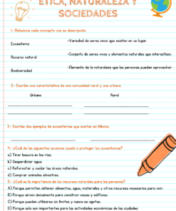 Diagnostico 6° 11