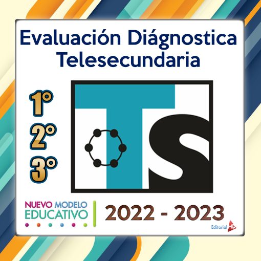 Diagnosticos Telesecundaria scaled