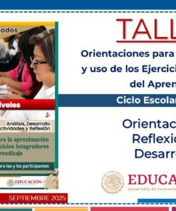 GUÍA DE APOYO para el Taller “Orientaciones para la Aproximación de Ejercicios Integradores del Aprendizaje”
