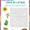 Una sopa de letras en español sobre las partes de las plantas con ilustraciones de un girasol, una hoja, una raíz y frutos. Palabras a encontrar: fruto, hoja, tallo, flor y raíz. El puzzle se titula 