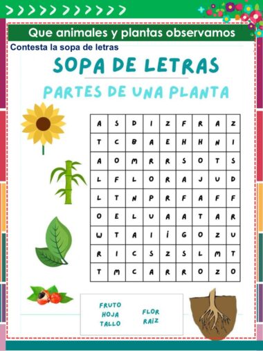 Una sopa de letras en español sobre las partes de las plantas con ilustraciones de un girasol, una hoja, una raíz y frutos. Palabras a encontrar: fruto, hoja, tallo, flor y raíz. El puzzle se titula "Sopa de Letras: Partes de una Planta.
