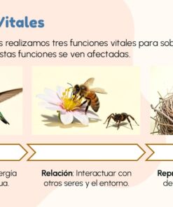 Diapositiva10 52