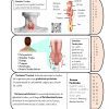 Diapositiva11 8