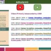 Diapositiva12 13