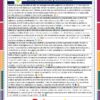 Observaciones y Sugerencias para Boletas de Evaluación Primaria 1° - 6° Grado NEM 14 Afiche educativo en español titulado