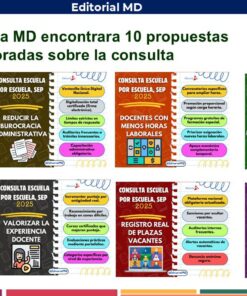 Un cartel digital titulado “En su carpeta MD encontrará 10 propuestas elaboradas sobre la consulta” muestra 10 portadas de folletos coloridos, cada una con un título diferente relacionado con las propuestas de consulta escolar para 2025.