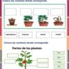 Ficha didáctica en español que muestra las etapas y partes del crecimiento de las plantas. Incluye imágenes de plantas en macetas en diferentes etapas y un diagrama etiquetado de una planta para rellenar con términos como raíz, tallo, fruta, flor y hoja.