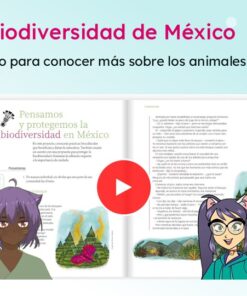 Cuadernillos Comprensión Lectora Múltiples Lenguajes 1º a 6º GRADO PRIMARIA | NEM (EDITABLES) 14 Diapositiva21 21