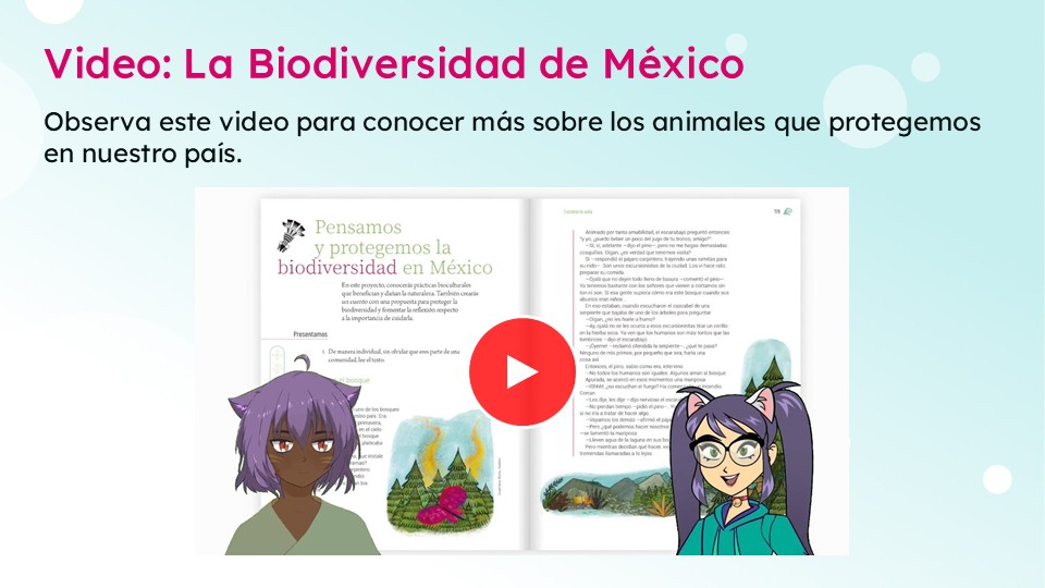 Cuadernillos Comprensión Lectora Múltiples Lenguajes 1º a 6º GRADO PRIMARIA | NEM (EDITABLES) 6 Cuadernillos Comprensión Lectora Múltiples Lenguajes 1º a 6º GRADO PRIMARIA | NEM (EDITABLES) - Image 6