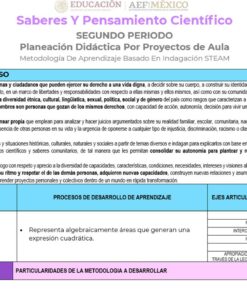 Infografía que detalla el marco educativo para el segundo periodo de un plan de instrucción basado en STEAM en Proyecto: La Magia del Álgebra en la Geometría (Matemáticas Secundaria). Destaca secciones sobre perfil del estudiante, procesos de aprendizaje y habilidades relacionadas como álgebra y geometría. Incluye una tabla con contenidos, procesos de aprendizaje y habilidades específicas.