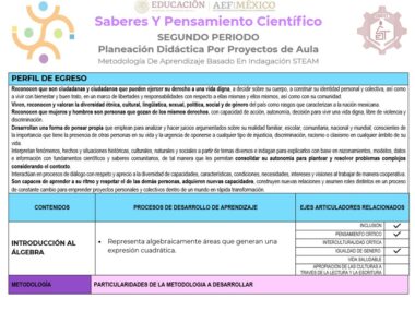 Infografía que detalla el marco educativo para el segundo periodo de un plan de instrucción basado en STEAM en Proyecto: La Magia del Álgebra en la Geometría (Matemáticas Secundaria). Destaca secciones sobre perfil del estudiante, procesos de aprendizaje y habilidades relacionadas como álgebra y geometría. Incluye una tabla con contenidos, procesos de aprendizaje y habilidades específicas.