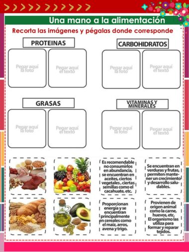 Hoja de trabajo para clasificar alimentos con cuatro secciones etiquetadas: "Proteínas", "Carbohidratos", "Grasas" y "Vitaminas y minerales", además de imágenes recortadas de diversos alimentos y cuadros de texto relacionados en la parte inferior.