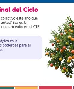 Productos Contestados CTE 8va Sesión Junio 2026 Consejo Técnico Escolar (Todos los Niveles) 23 Diapositiva35