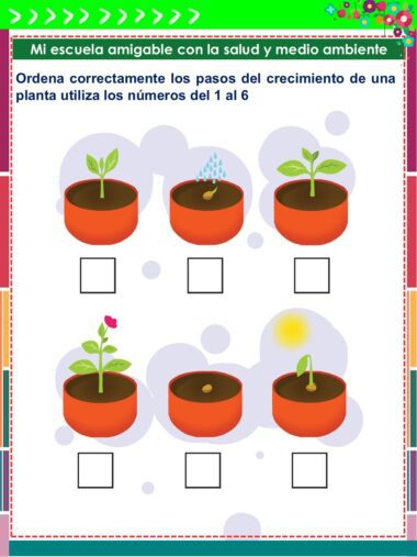 Seis ilustraciones muestran las etapas de crecimiento de una planta, desde la semilla en la tierra hasta el brote, el riego, la planta pequeña, la planta más grande y la planta en flor. Debajo de cada imagen hay un cuadrado vacío para ordenar las etapas con los números del 1 al 6.