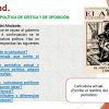 Diapositiva44