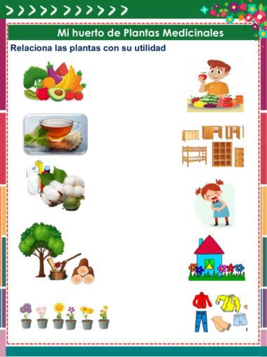 Una hoja de trabajo titulada "Mi huerto de Plantas Medicinales" muestra imágenes de plantas a la izquierda y sus usos (alimentación, mobiliario, medicina, hogar, belleza, purificación del aire) a la derecha para realizar actividades de emparejamiento.