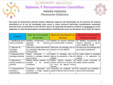 Cuadro del "DIAGNOSTICO OPERACIONES BASICAS SECUNDARIA" que evalúa los niveles de desempeño de las habilidades de pensamiento científico en estudiantes de secundaria, categorizado por criterios. Cuenta con tres columnas que indican el desempeño: Logrado, En desarrollo y Requiere apoyo, cada una acompañada de descripciones pertinentes.