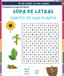 Cuadernillo de Proyectos Lenguajes – 1° Grado PRIMARIA NEM (2025 - 2026) 34 Colorida sopa de letras en español titulada