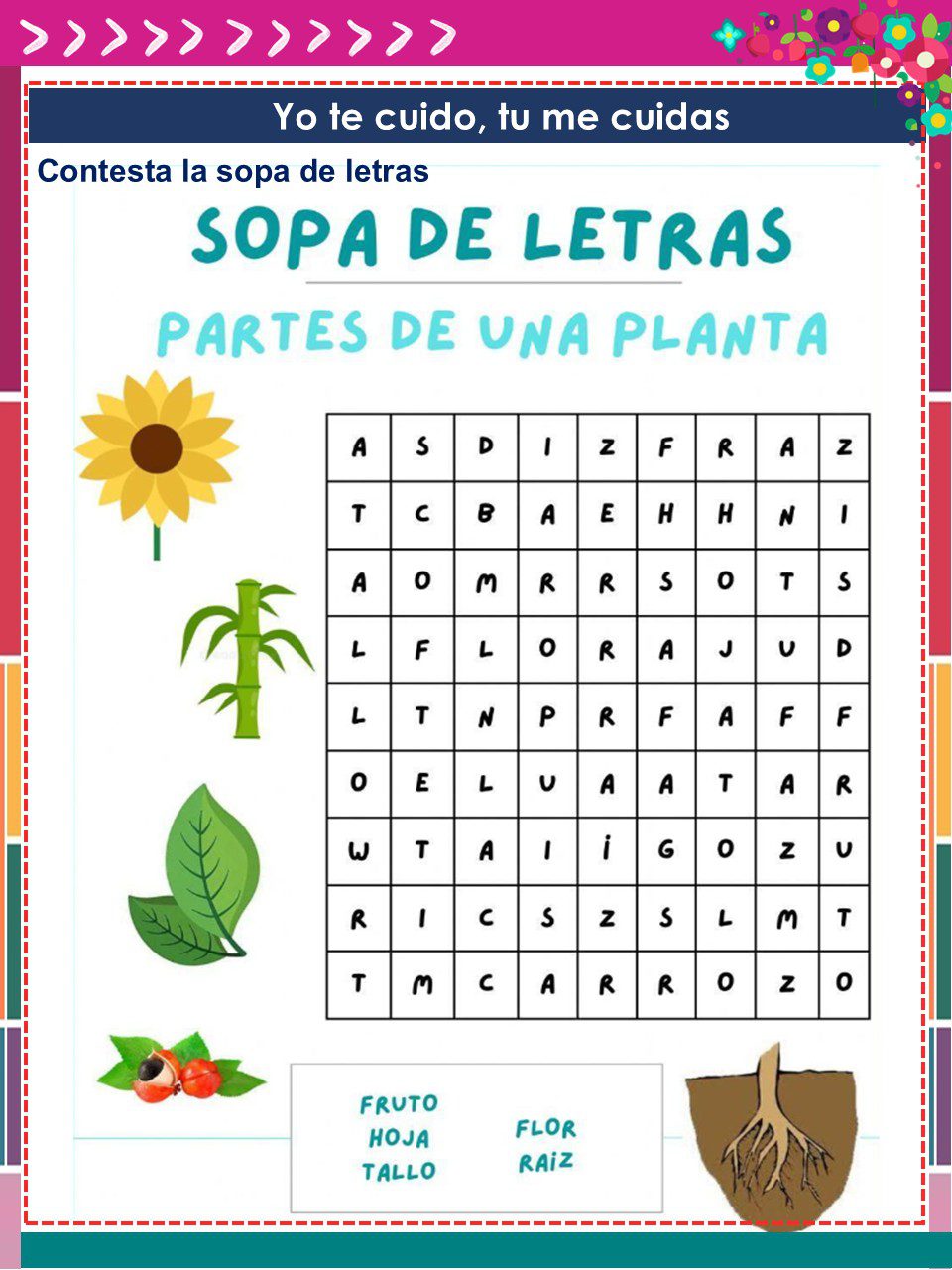 Cuadernillo de Proyectos Lenguajes – 1° Grado PRIMARIA NEM (2025 - 2026) 13 Colorida sopa de letras en español titulada "Sopa de letras: Partes de una planta" con imágenes de un girasol, una hoja, frutos y raíces de plantas. Palabras a buscar: fruto, hoja, tallo, flor, raíz. Borde decorativo en la parte superior e inferior.